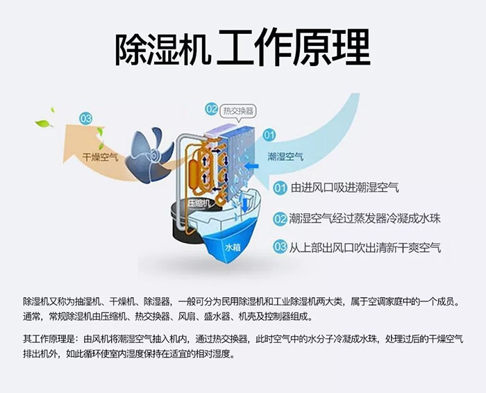 對抗梅雨天，絕不認輸！
