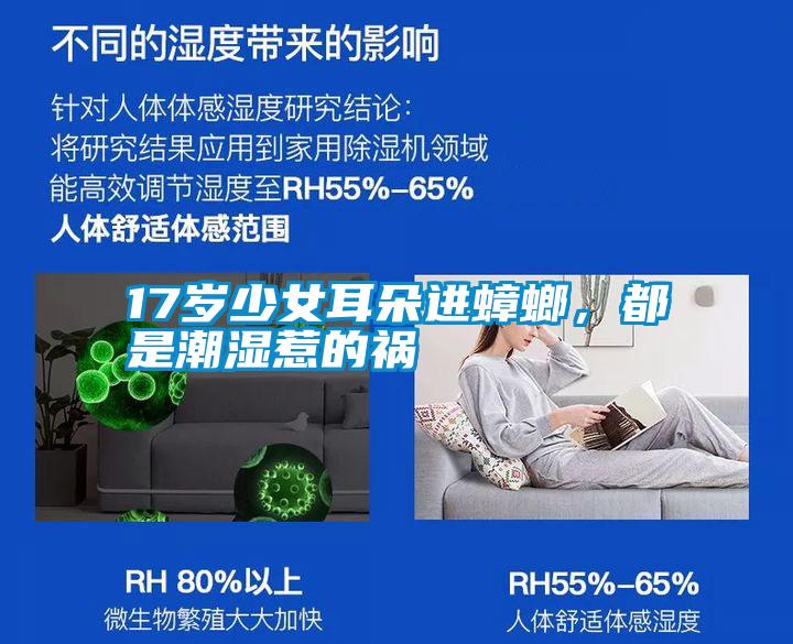 17歲少女耳朵進蟑螂，都是潮濕惹的禍