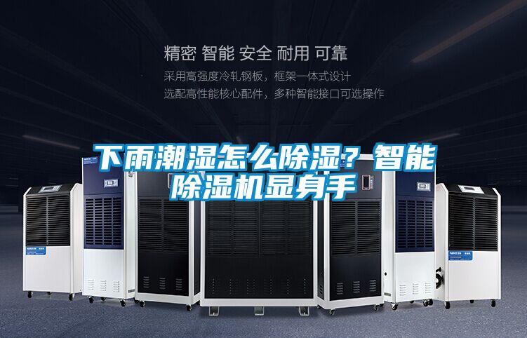 下雨潮濕怎么除濕？智能除濕機顯身手
