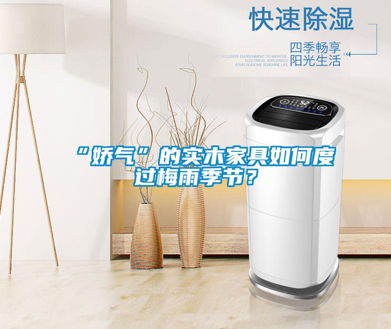 “嬌氣”的實(shí)木家具如何度過梅雨季節(jié)？