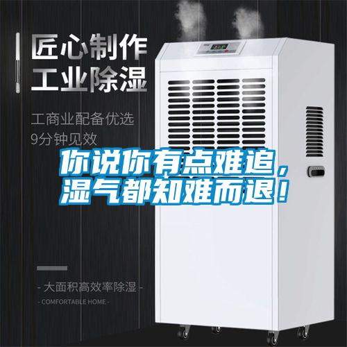 你說你有點難追，濕氣都知難而退！