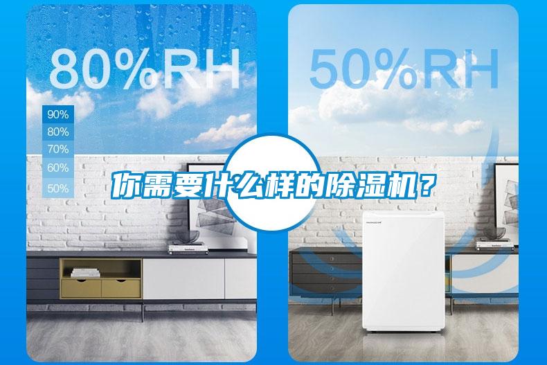 你需要什么樣的除濕機(jī)？