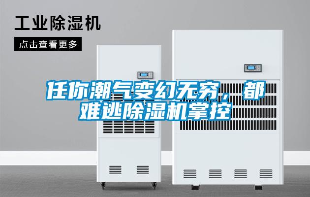任你潮氣變幻無窮，都難逃除濕機(jī)掌控