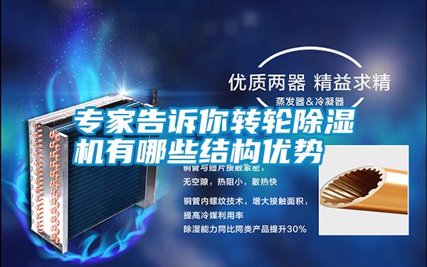 專家告訴你轉(zhuǎn)輪除濕機有哪些結(jié)構(gòu)優(yōu)勢