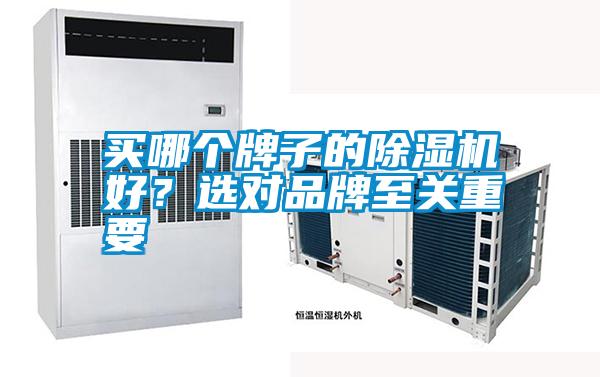 買哪個(gè)牌子的除濕機(jī)好？選對(duì)品牌至關(guān)重要