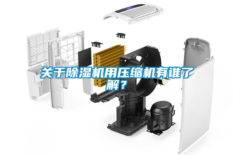 關(guān)于除濕機用壓縮機有誰了解？
