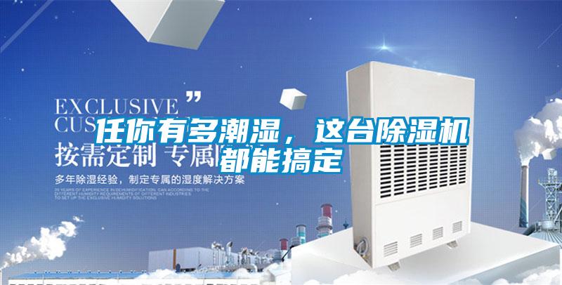 任你有多潮濕，這臺除濕機(jī)都能搞定