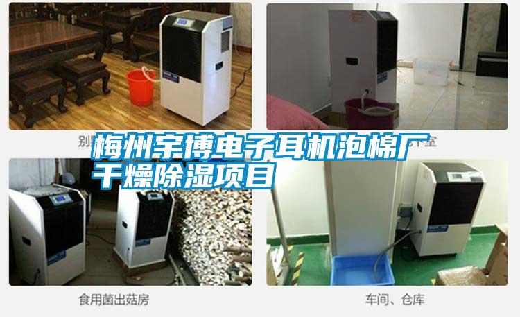 梅州宇博電子耳機泡棉廠干燥除濕項目