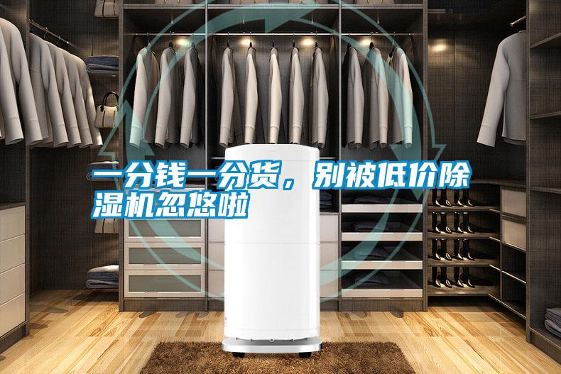 一分錢一分貨，別被低價除濕機忽悠啦