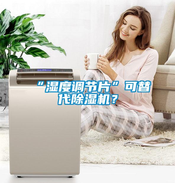 “濕度調(diào)節(jié)片”可替代除濕機？