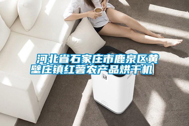 ?河北省石家莊市鹿泉區(qū)黃壁莊鎮(zhèn)紅薯農(nóng)產(chǎn)品烘干機