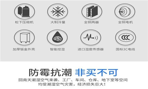 為什么房子潮濕會有危害？
