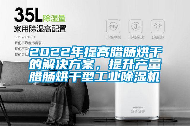 2022年提高臘腸烘干的解決方案，提升產量臘腸烘干型工業除濕機