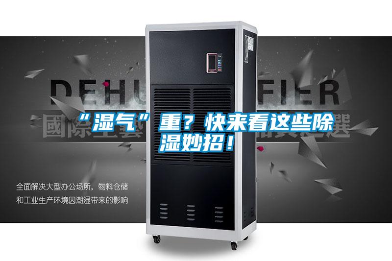 “濕氣”重？快來看這些除濕妙招！