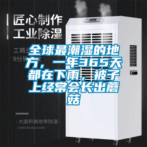 全球最潮濕的地方，一年365天都在下雨，被子上經(jīng)常會長出蘑菇