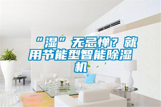 “濕”無忌憚？就用節(jié)能型智能除濕機(jī)