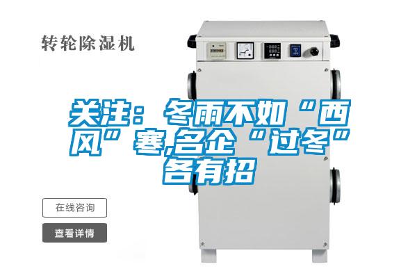 關注：冬雨不如“西風”寒,名企“過冬”各有招