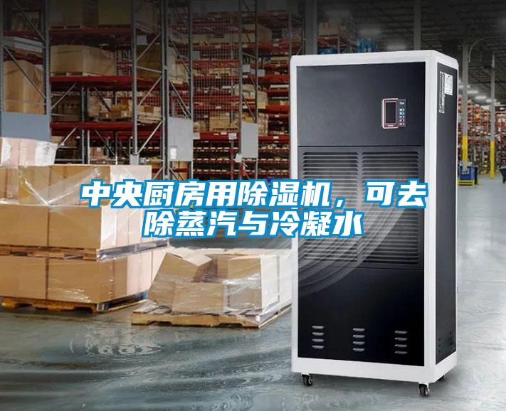 中央廚房用除濕機，可去除蒸汽與冷凝水