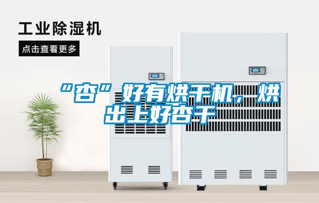 “杏”好有烘干機，烘出上好杏干
