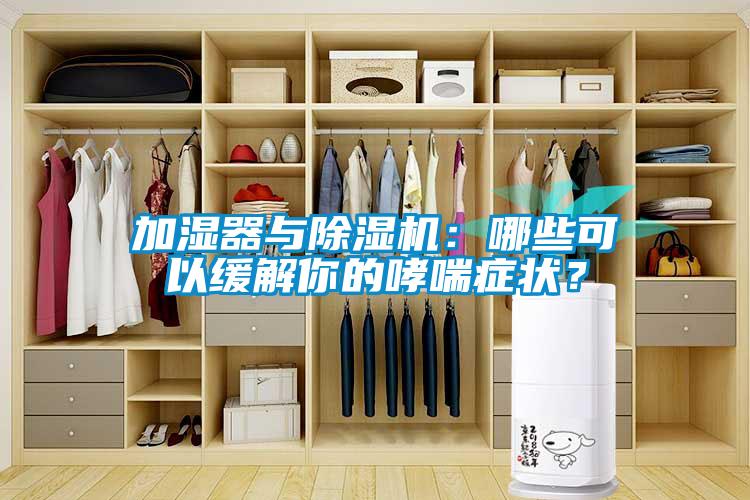 加濕器與除濕機(jī)：哪些可以緩解你的哮喘癥狀？