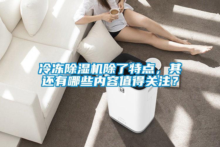 冷凍除濕機除了特點，其還有哪些內容值得關注？