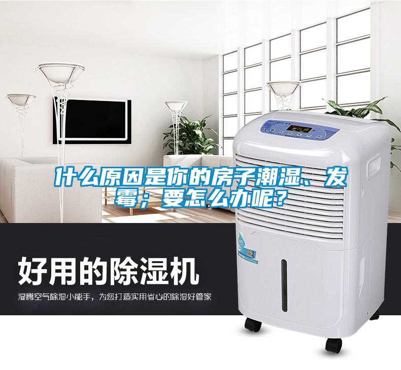 什么原因是你的房子潮濕、發霉；要怎么辦呢？