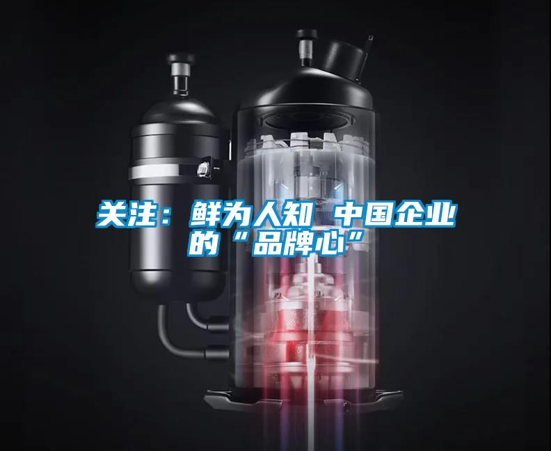 關注：鮮為人知 中國企業的“品牌心”