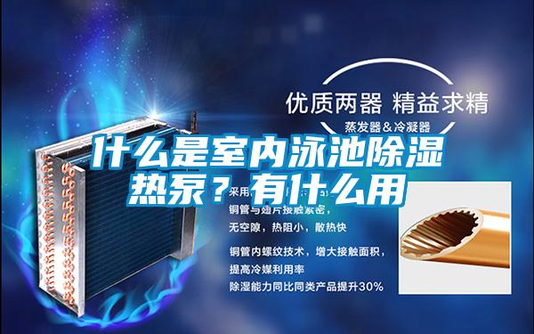 什么是室內泳池除濕熱泵？有什么用