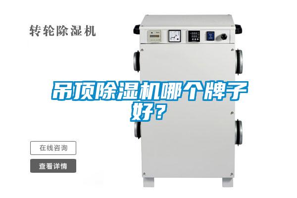 吊頂除濕機哪個牌子好？
