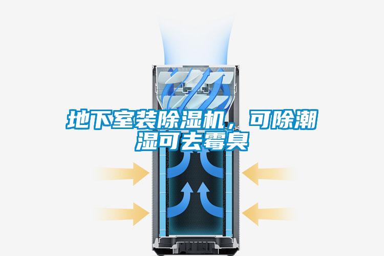 地下室裝除濕機，可除潮濕可去霉臭