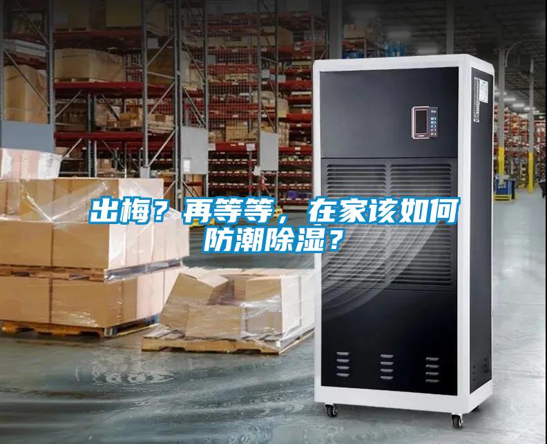 出梅？再等等，在家該如何防潮除濕？