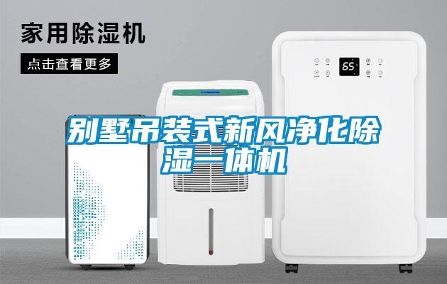 別墅吊裝式新風(fēng)凈化除濕一體機