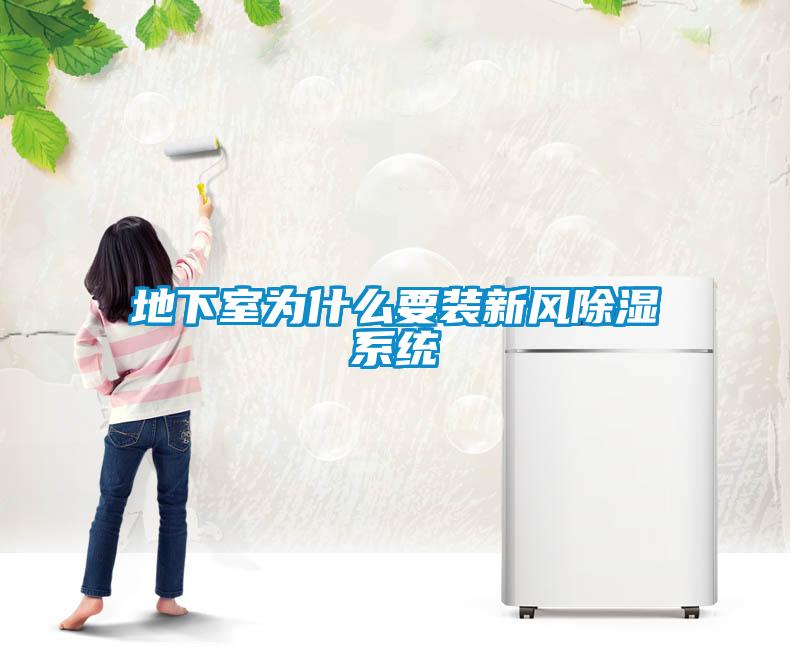 地下室為什么要裝新風除濕系統(tǒng)