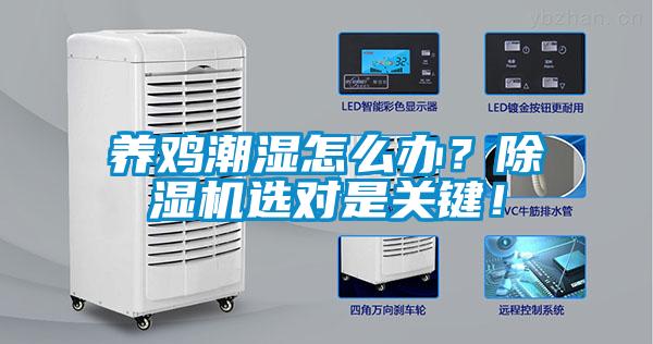 養(yǎng)雞潮濕怎么辦？除濕機選對是關(guān)鍵！