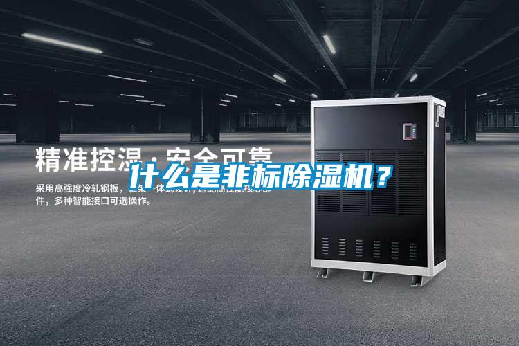 什么是非標(biāo)除濕機(jī)？