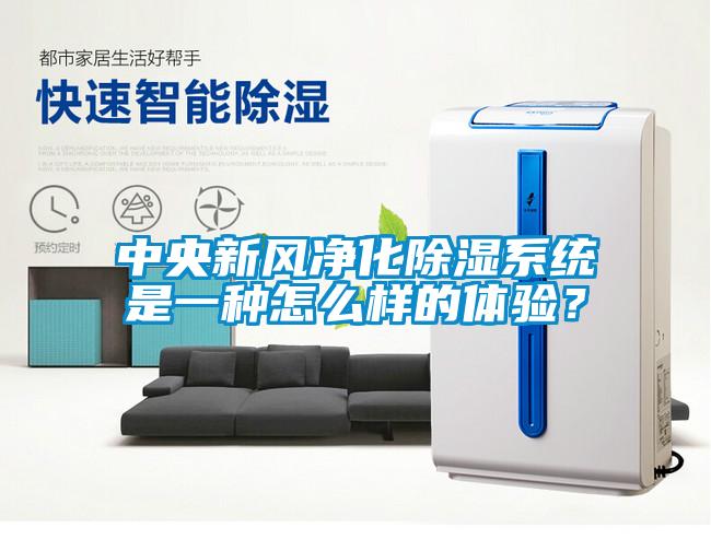 中央新風凈化除濕系統是一種怎么樣的體驗？