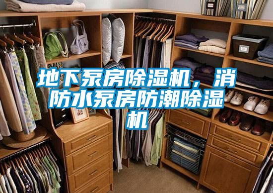 地下泵房除濕機，消防水泵房防潮除濕機