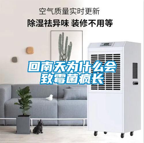 回南天為什么會(huì)致霉菌瘋長