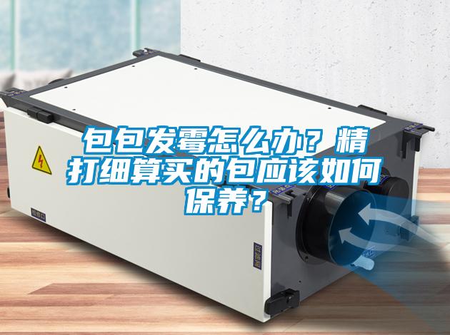 包包發霉怎么辦？精打細算買的包應該如何保養？