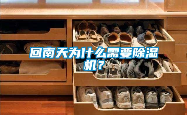 回南天為什么需要除濕機(jī)？