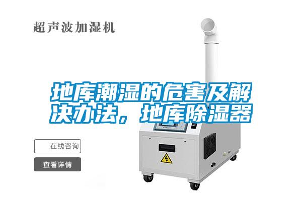 地庫潮濕的危害及解決辦法，地庫除濕器