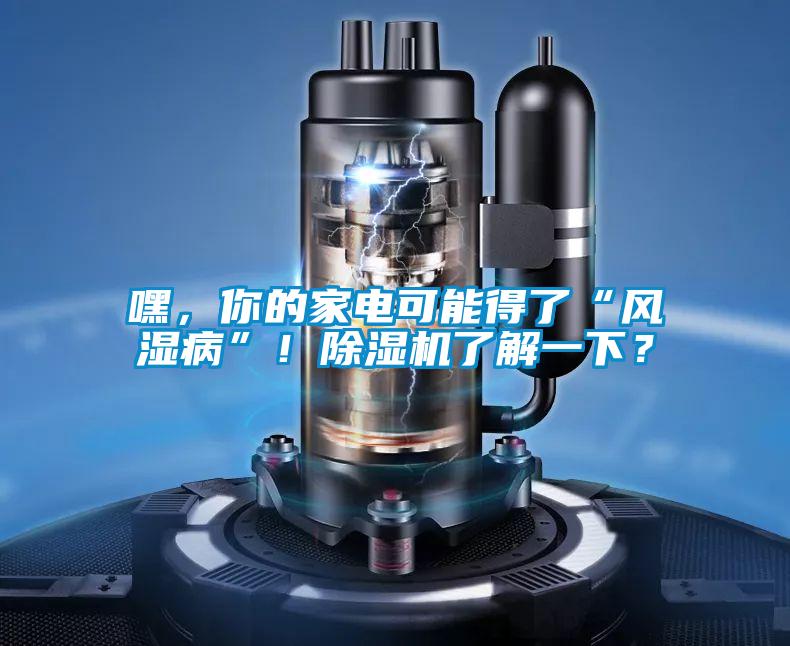 嘿，你的家電可能得了“風(fēng)濕病”！除濕機(jī)了解一下？