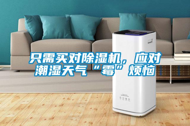 只需買對(duì)除濕機(jī)，應(yīng)對(duì)潮濕天氣“霉”煩惱