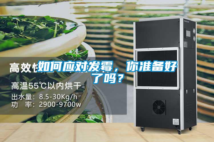 如何應對發霉，你準備好了嗎？