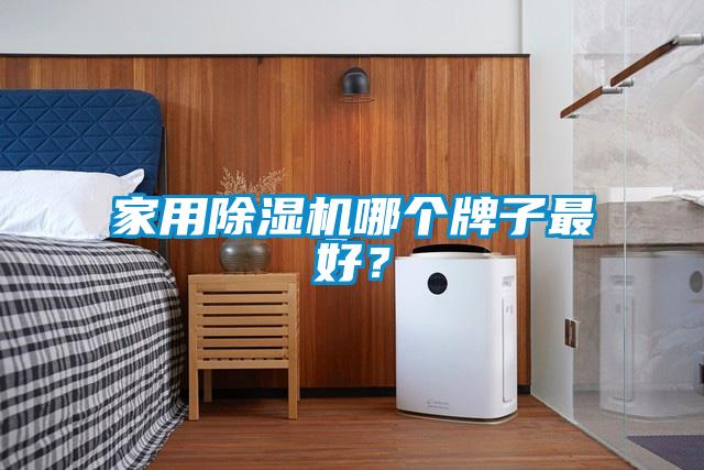 家用除濕機哪個牌子最好？