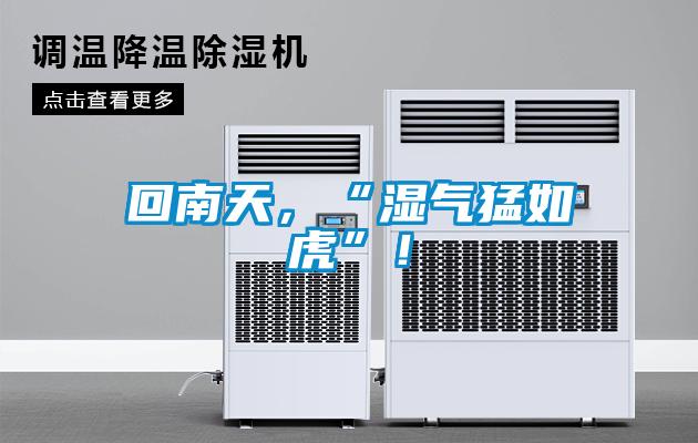 回南天，“濕氣猛如虎”！