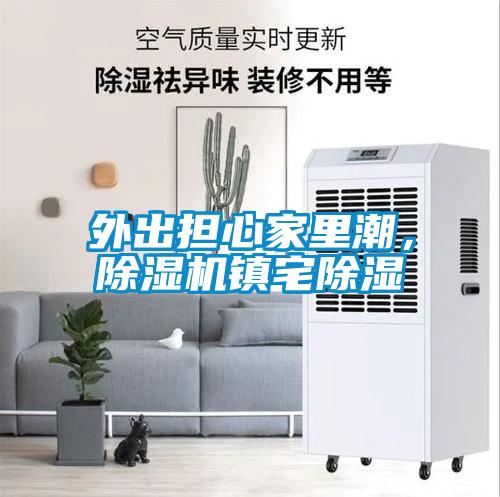 外出擔(dān)心家里潮，除濕機鎮(zhèn)宅除濕