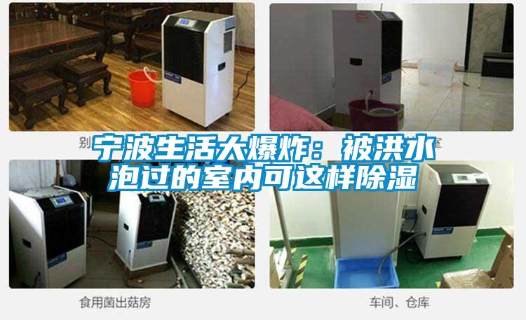 寧波生活大爆炸：被洪水泡過(guò)的室內(nèi)可這樣除濕