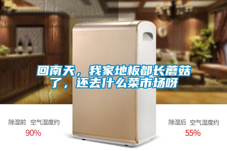 回南天，我家地板都長蘑菇了，還去什么菜市場呀