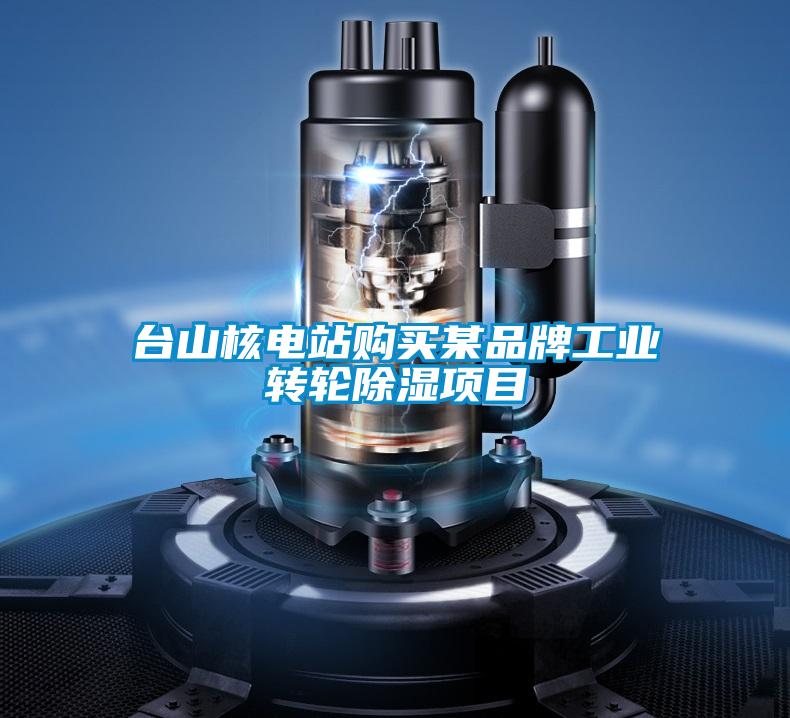 臺山核電站購買某品牌工業(yè)轉(zhuǎn)輪除濕項(xiàng)目